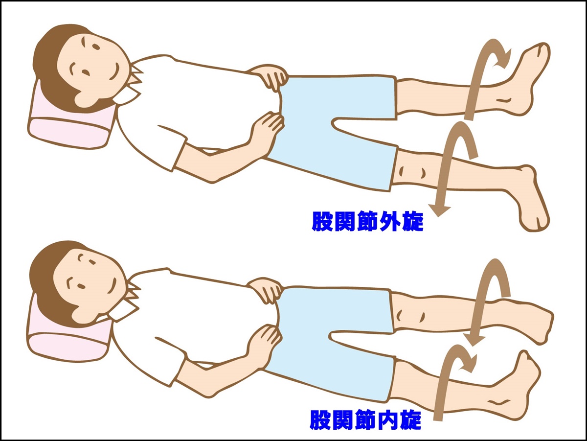 股関節動き 名称 – 股関節の位置図解 – ZSCCP